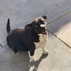 Meet your Posher, Felix